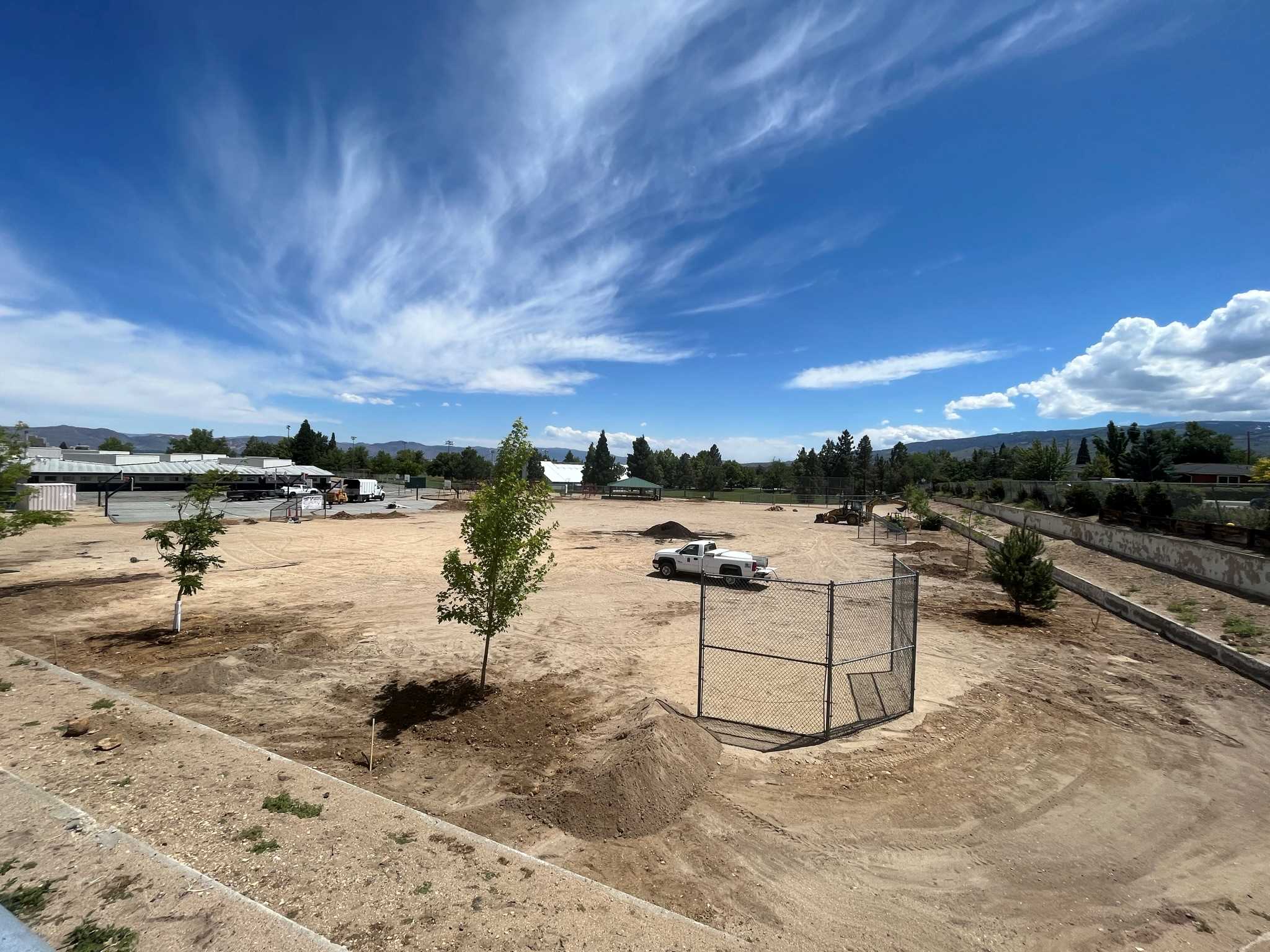 Grassroots Success PTO plants trees at Mamie Towles Elementary School