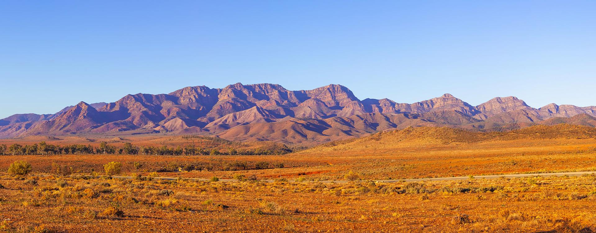 Nevada desert