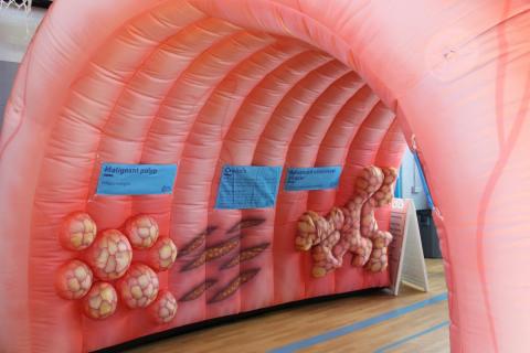 Get Screened Health Fair