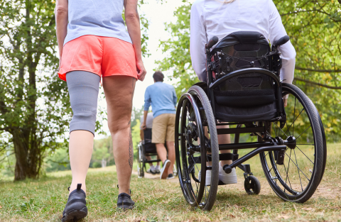 People walking and in wheelchairs rolling