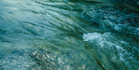 water in a river