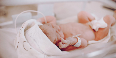 newborn baby in a hospital bassinet