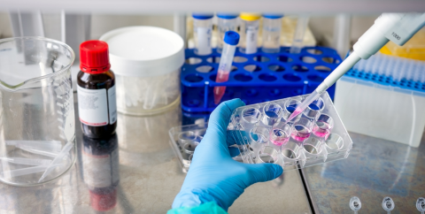 a researcher tests samples in a lab