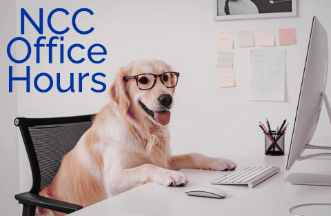 A dog wearing glasses and sitting at a desk with a computer